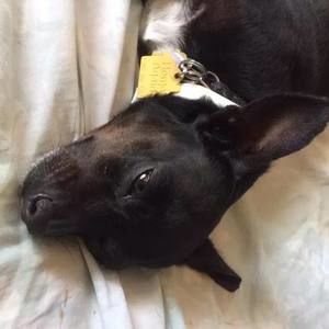 Meet your Posher, Lyle